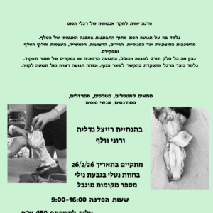 סדנה יומית לחקר האנטומיה של רגלי הסוס 26.2.2026